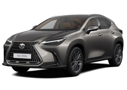 Ворсовые коврики на Lexus NX II 2021 - 2025 в Симферополе