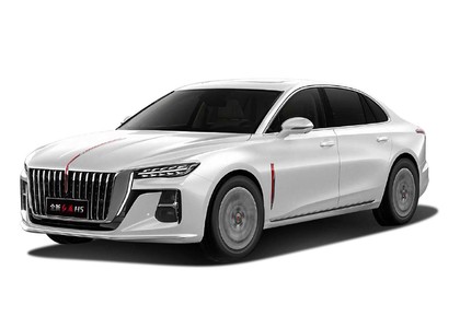Коврики на Hongqi H5 II 2022 - 2025 в Симферополе