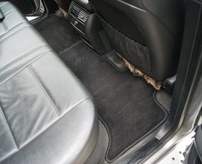 EVA коврики на BMW X5 (E53) 1999 - 2006 в Симферополе