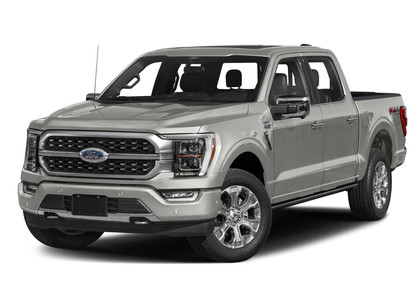 Ворсовые коврики на Ford F150 2020 - 2025 в Симферополе