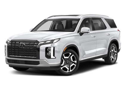 Коврики на Hyundai Palisade 2018 - 2025 в Симферополе