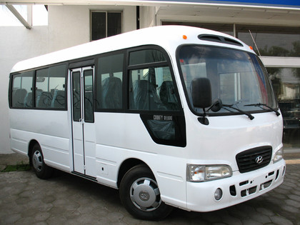 Коврики на Hyundai County 2006 - 2016 в Симферополе