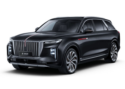 Коврики на Hongqi E-HS9 2022 - 2025 в Симферополе