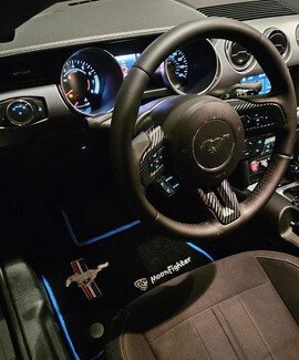 Коврики на Ford Mustang VI 2013&nbsp;-&nbsp;2023 в Симферополе
