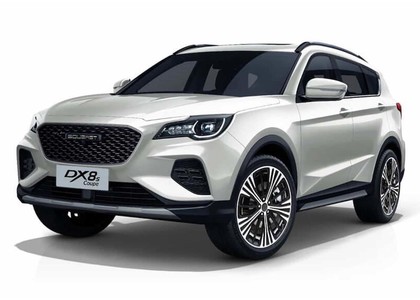 Коврики на Soueast DX8S 2022 - 2025 в Симферополе