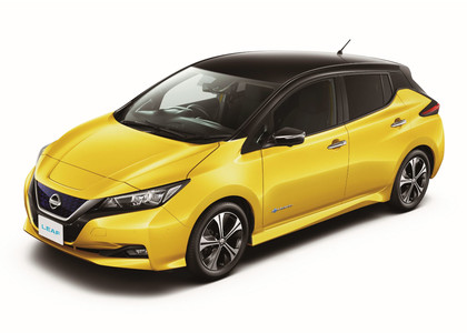 Коврики на Nissan Leaf (ZE1) 2017 - 2025 в Симферополе
