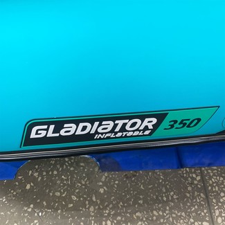 EVA коврики на Лодки Gladiator E350S  в Симферополе