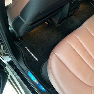 Коврики на BMW X5 (G05/G18) 2018 - 2025 в Симферополе