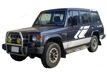Ворсовые коврики на Hyundai Galloper I 1991 - 1997 в Симферополе