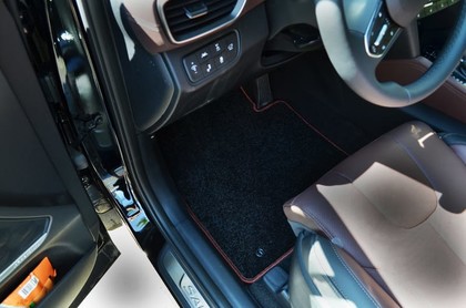 Коврики на Hyundai Santa Fe IV 2018 - 2021 в Симферополе