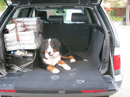 EVA коврики на BMW X5 (E53) 1999 - 2006 в Симферополе